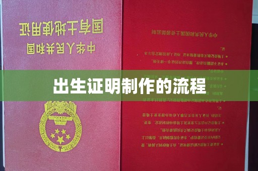 双台子出生证明制作的流程
