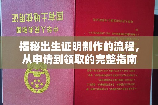 双台子揭秘出生证明制作的流程，从申请到领取的完整指南