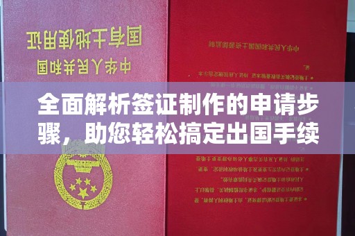 双台子全面解析签证制作的申请步骤，助您轻松搞定出国手续