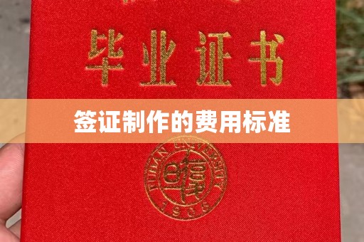 双台子签证制作的费用标准