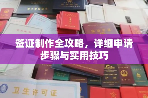 双台子签证制作全攻略，详细申请步骤与实用技巧